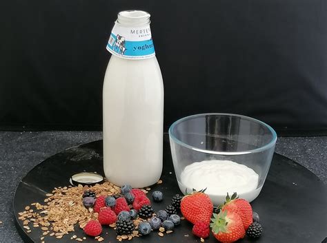 Yoghurt zelf maken makkelijk en leuk om te doen