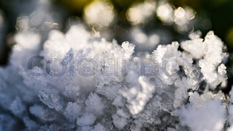 Snow Flakes Ice Crystals Macro Closeup Stock Image Colourbox