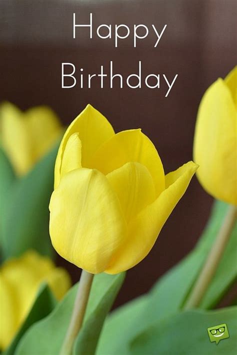 And for this there are a lot of different ways. 300+ Great Happy Birthday Images for Free Download ...