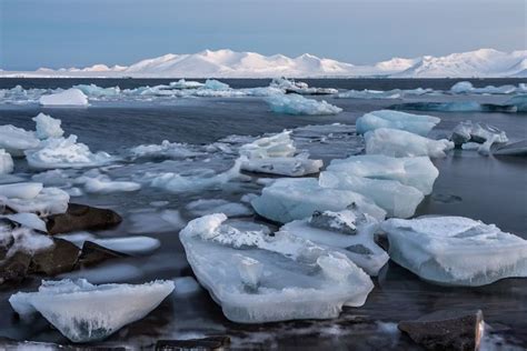 Arctic Sea Ice Thinning Dramatically Study Finds Arctic Sea Sea