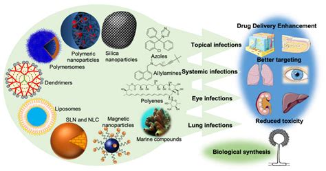 Pharmaceuticals Free Full Text Current Insights On Antifungal