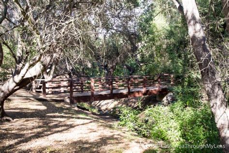 Conejo Valley Botanical Gardens In Thousand Oaks California Through