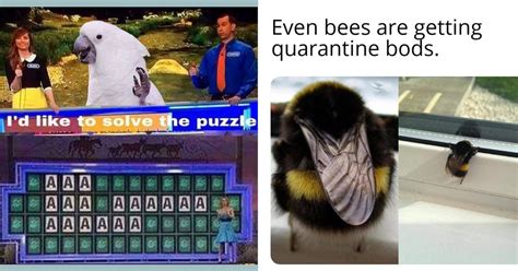 Its Time We Had A Talk About The Birds And The Bees Memes 22 Pics