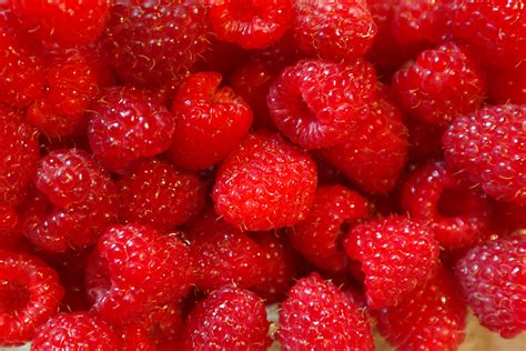 Free Images Plant Raspberry Fruit Berry Food Red Produce Fresh