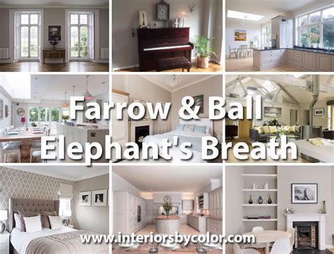 Farrow And Ball Elephants Breath Interiors By Color