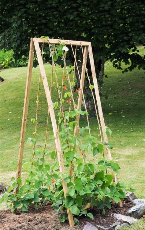 25 Functional Diy Cucumber Trellis Ideas Vegetable Garden Design