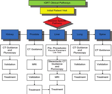 5 Example Of Disease Oriented Clinical Pathways Download Scientific