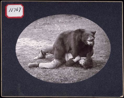 Back When Men Would Wrestle Bears Heres An Amazing Photo Of A Bear