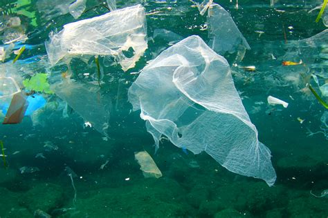 10 Ways To Reduce Plastic Pollution Nrdc