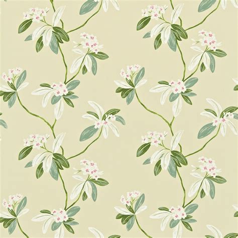 Oleander Fabric Rosecream By Sanderson 222082