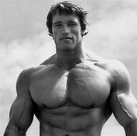 The King Arnold Schwarzenegger Muscle Fitness Muscle Men Big Chest