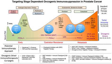 Ijms Free Full Text Overcoming Oncogenic Mediated Tumor Immunity In