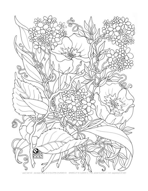 Printable Coloring Pages For Adults Only At Getcolorings