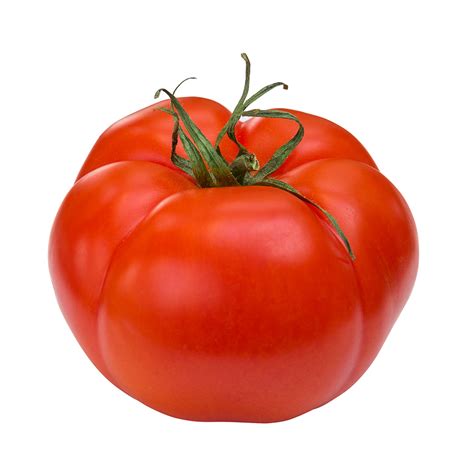 Tomato Big Beef True Garden