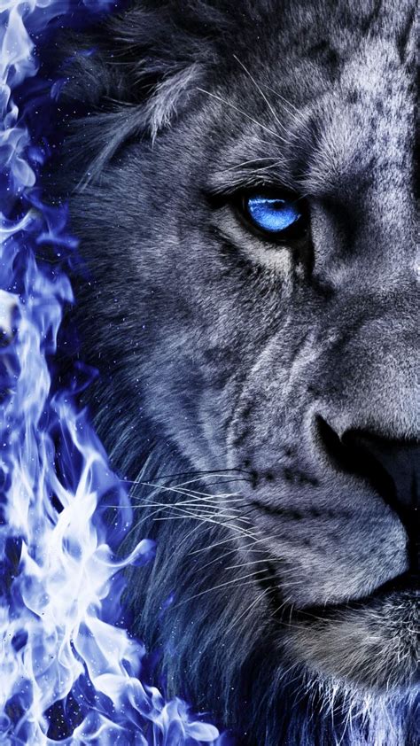 Fire Lion Iphone Wallpaper Iphone Wallpapers