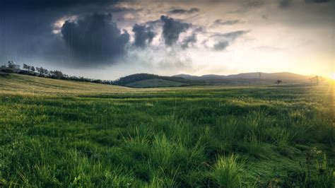 Grass Field Rain Nature Wallpapers Hd Desktop And Mobile Backgrounds