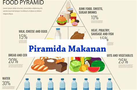 Pengertian Piramida Makanan Macam Dan Contohnya Guru Sains