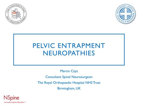 Pdf Pelvic Entrapment Neuropathies