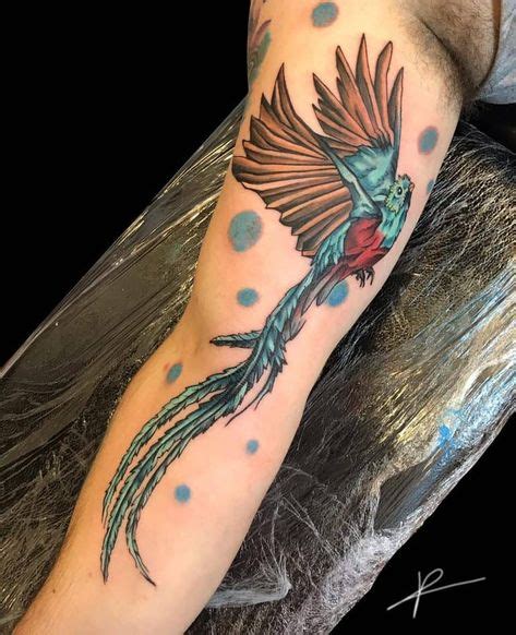 45 my quetzal bird tattoo ideas in 2021 quetzal birds tattoo quetzal tattoo