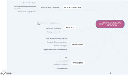 Mapa Mental Perfil De Idea De Negocio Youtube