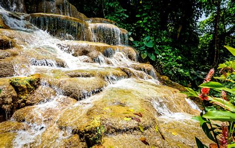 Konoko Falls, Jamaica: The Complete Guide | BEACHES