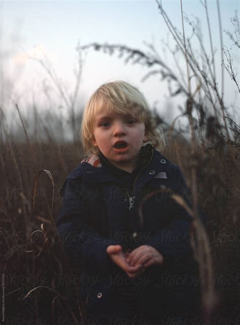A Beautiful Blond Boy With In A Filed By Stocksy Contributor Anna