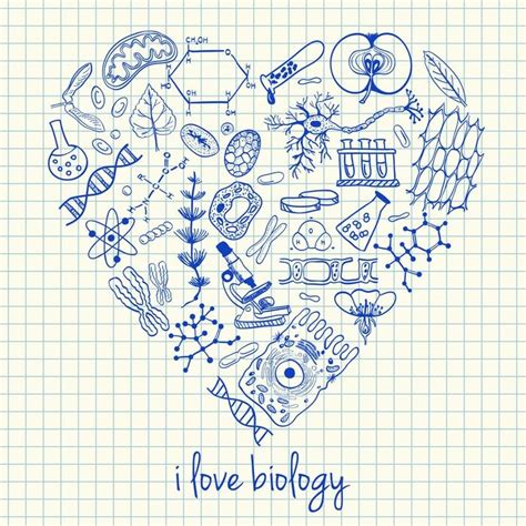 Biology Drawings In Heart Shape Vinyl Wall Mural Applied And