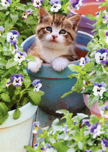 Kitten In Flower Pot Cat Mothers Day Card By Avanti Press