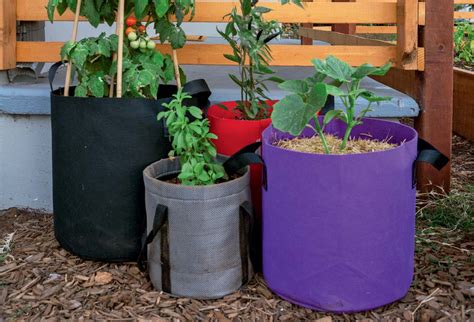 6 Imaginative Ways To Use Grow Bags In Small Spaces The Independent