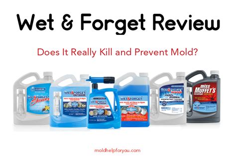 Wet And Forget Review Mold Help For You