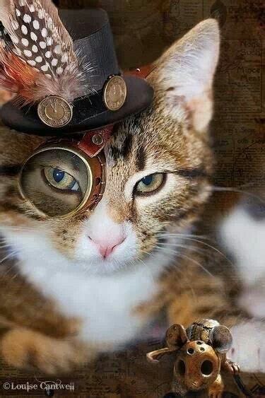 Steampunk Cat On Tumblr