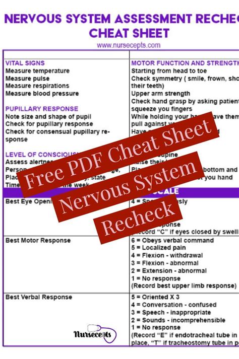 Nursing Neuro Assessment Cheat Sheet By Davidpol Down