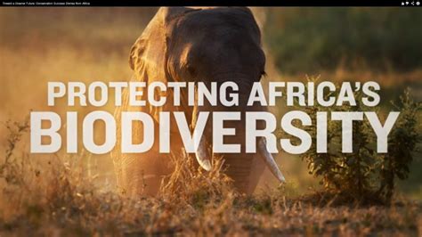 Toward A Greener Future Conservation Success Stories From Africa Youtube