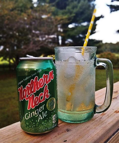 Northern Neck Ginger Ale The Taste Of Home