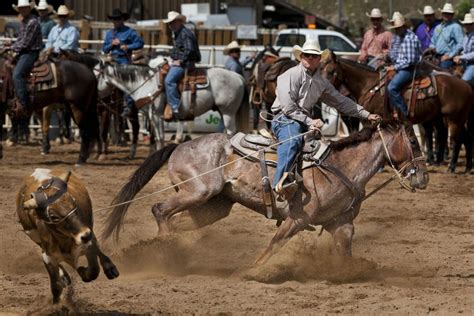 Rodeo Steer Roping Kicks Off Days Of 76 Sports