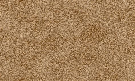 Textura De Pele De Animal Marrom Lã E Pele Sem Costura Padrão Vetor