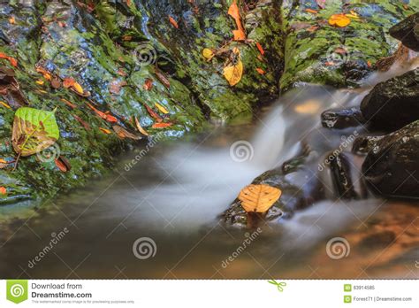 Waterfall And Rocks Covered With Moss Stock Image Image Of Wild