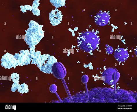 Artwork Of The Aids Acquired Immunodeficiency Syndrome Virus And