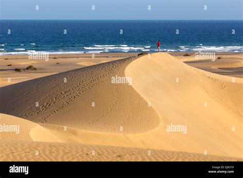 Dune Beach At Maspalomas Gran Canaria Canary Islands Spain Stock