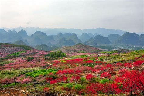 Top 3 Sites For Spring Flowers In Guilin China Trvel Guide Guilin