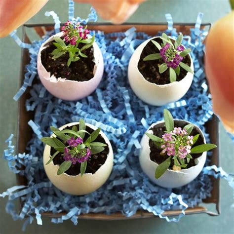 Flowers In An Eggshell 23 Examples Of Easter And Spring Creativity