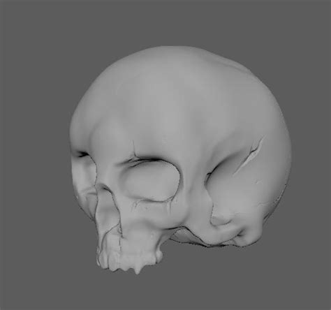 Human Skull 3d Model 200 Obj Free3d