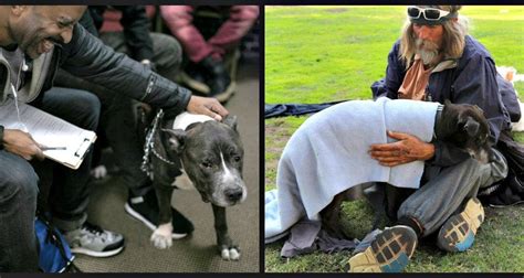 These Groups Help Homeless Pets And Their Families When Shelters Cant