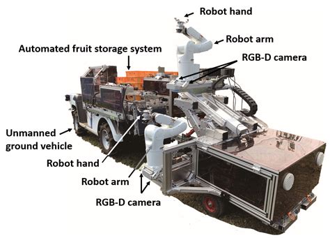 Development Of A Prototype Of An Automatic Fruit Harvesting Robot