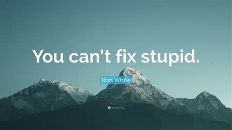 Great memorable quotes and script exchanges from the ron white: Ron White Quote: "You can't fix stupid." (12 wallpapers) - Quotefancy