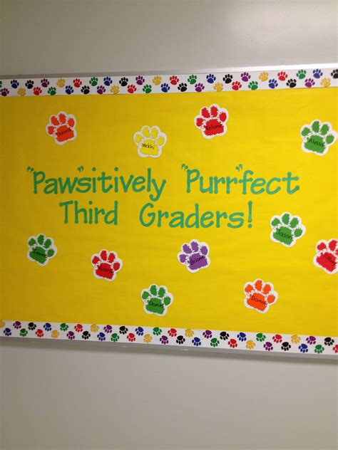 Pawsitively Purrfect Third Graders Welcome Bulletin Board 3rd