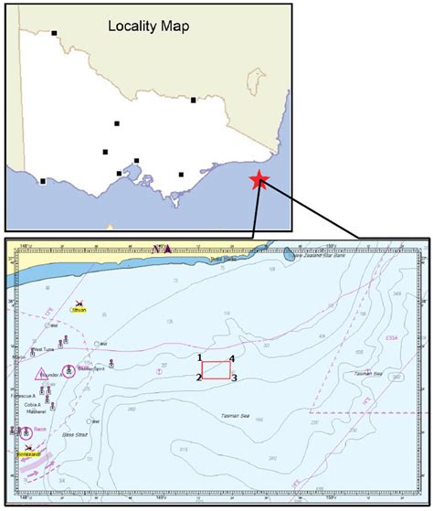 Wefish Marine Seismic Survey In The Bass Strait Canyons By Bass Strait