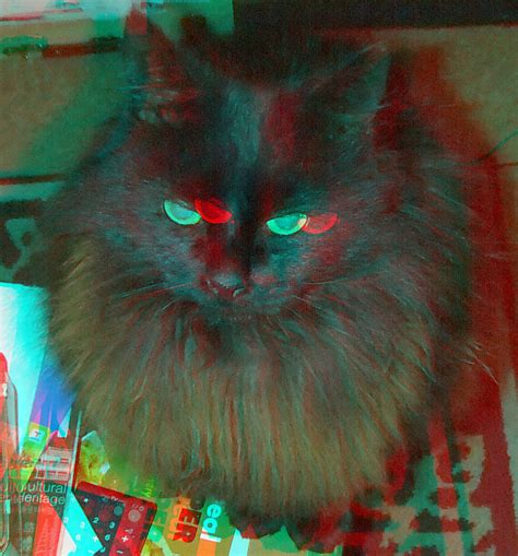 Black Cat D Anaglyph Red Blue Glasses To View Steve Woodmore Flickr