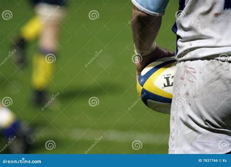 Rugby Stock Photo Image Of Group Challenge Sport Outdoor 7837766