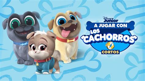 Ver Los Episodios Completos De A Jugar Con Los Cachorros Cortos Disney